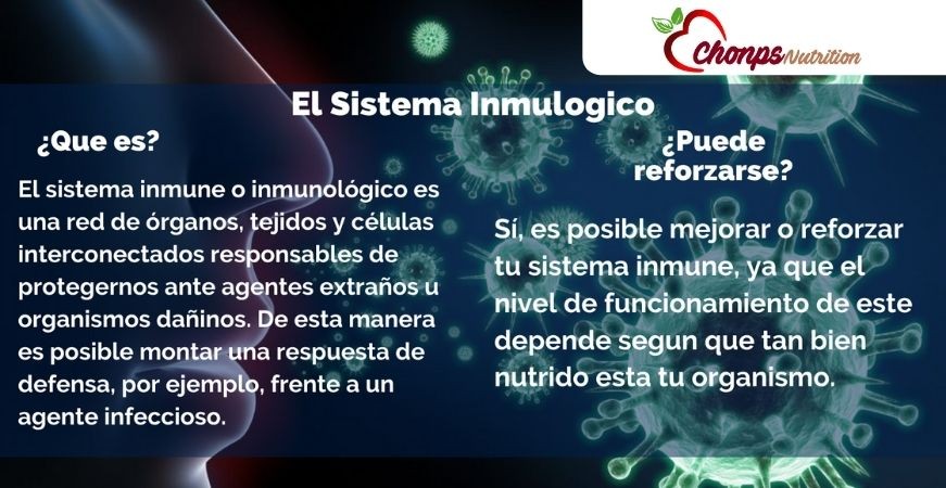 SISTEMA INMUNOLOGICO